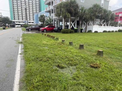 Lawn Care service in Murrells Inlet, 29576