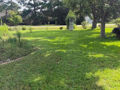 Lawn Care service in Loris, 29569