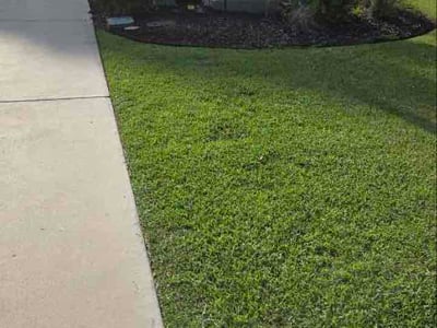 Lawn Care service in Loris, 29569