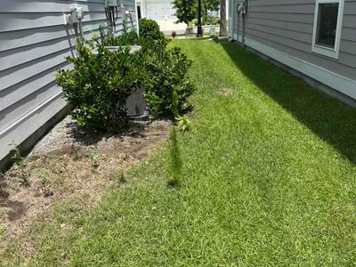 Lawn Care service in Loris, 29569