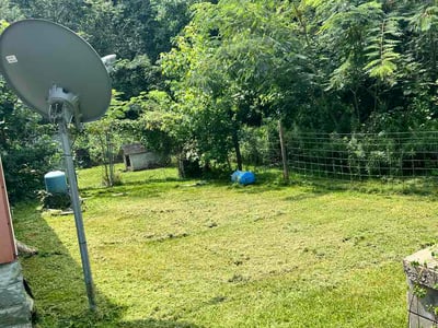 Lawn Care service in Laurens, 29360