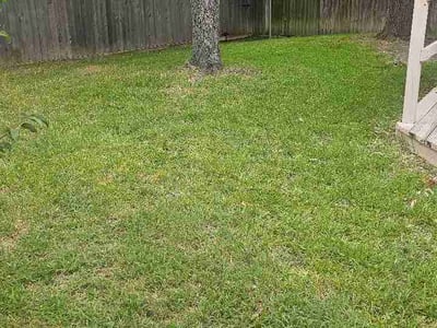 Lawn Care service in Temple, 76501