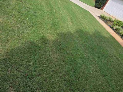 Lawn Care service in Pickens, 29671