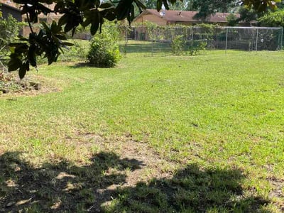 Lawn Care service in Pascagoula, 39567