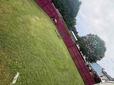 Lawn Care service in Taylors, 29687