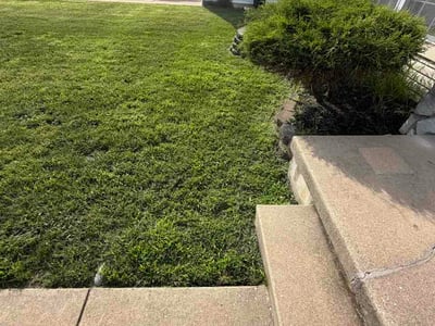 Lawn Care service in Blackwood, 08012