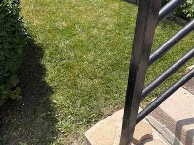 Lawn Care service in Lombard, 60148