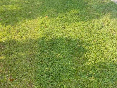 Lawn Care service in Hilton Head Island, 29926