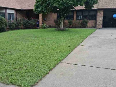 Lawn Care service in Ringgold, 30736