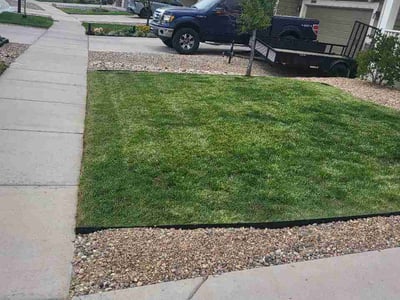 Lawn Care service in Woodland Park, 80863