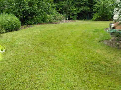 Lawn Care service in Clemson, 29631