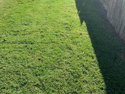 Lawn Care service in Shelton, 06484