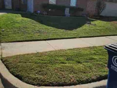 Lawn Care service in Danbury, 06810