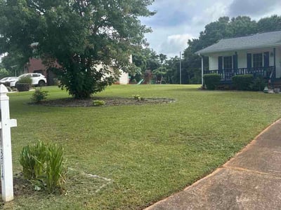 Lawn Care service in Fairfield County, 06883