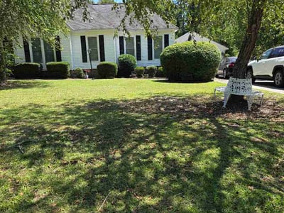 Lawn Care service in Florence, 29506