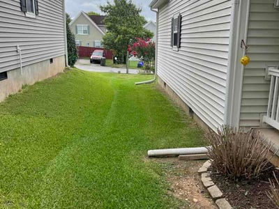 Lawn Care service in Greenville, 29601