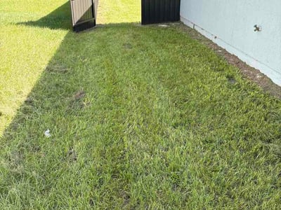Lawn Care service in Newburyport, 01950