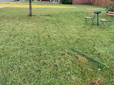 Lawn Care service in Stoneham, 02180