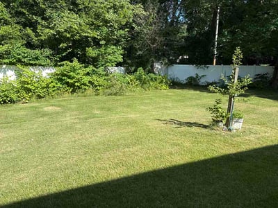 Lawn Care service in Dorchester, 02122