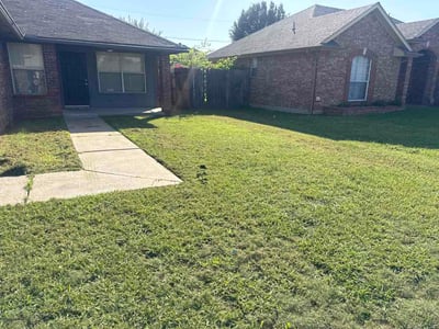 Lawn Care service in Dorchester, 02122