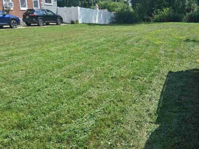 Lawn Care service in Burlington, 08016