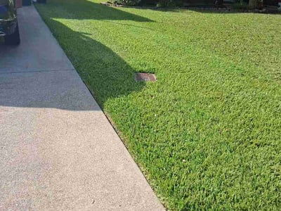 Lawn Care service in College Station, 77840