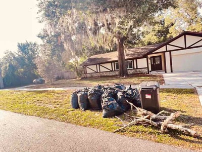 Leaf Removal service in Apopka, 32712