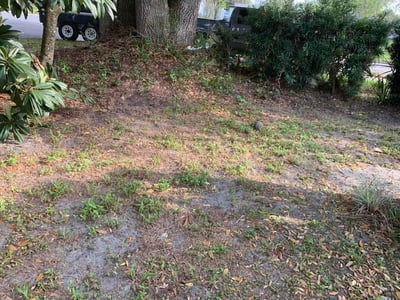 Leaf Removal service in Apopka, 32712