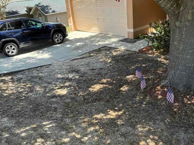 Leaf Removal service in Apopka, 32712