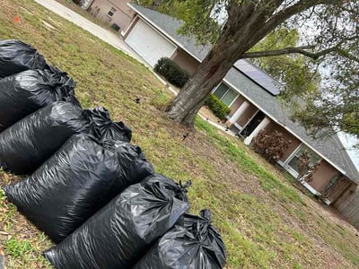 Leaf Removal service in Apopka, 32712