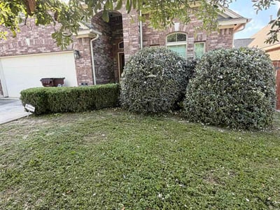 Lawn Care service in Visalia, 93291