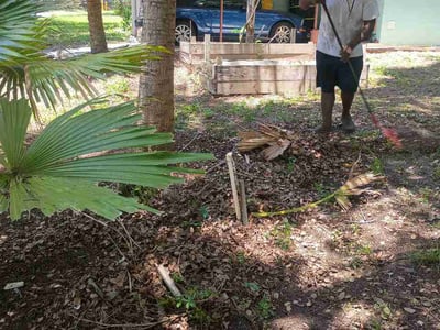 Leaf Removal service in Apopka, 32712
