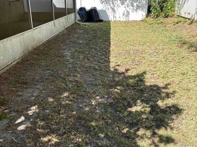 Leaf Removal service in Apopka, 32712