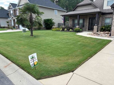 Lawn Care service in Chapin, 29036