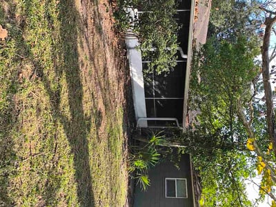 Leaf Removal service in Apopka, 32712