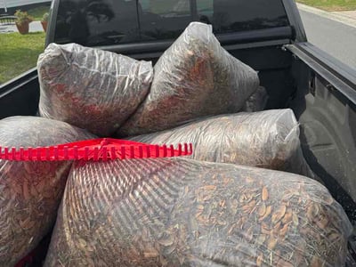Leaf Removal service in Apopka, 32712