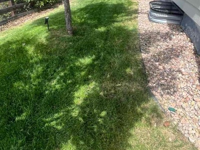 Lawn Care service in Centennial, 80112