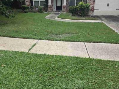 Lawn Care service in Lexington, 29072