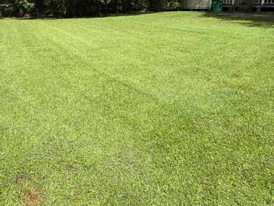 Lawn Care service in Moss Point, 39563