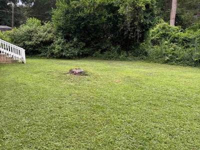 Lawn Care service in Gaston, 29053