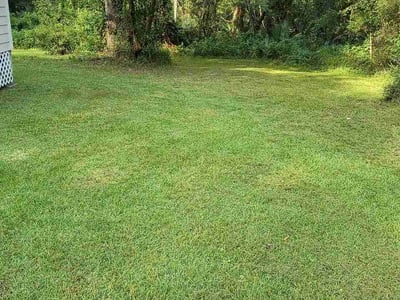 Lawn Care service in Moss Point, 39563