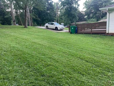 Lawn Care service in Bedford, 01730