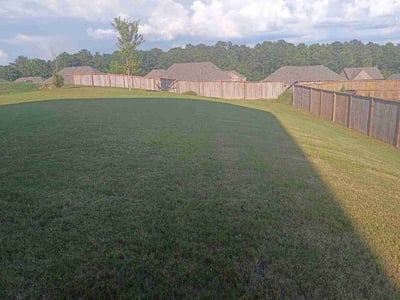 Lawn Care service in Bedford, 01730
