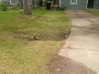 Lawn Care service in Stockton, 95202