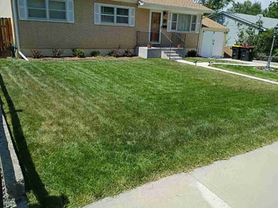 Lawn Care service in North Providence, 02911