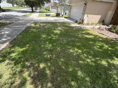 Lawn Care service in Ocala, 34480