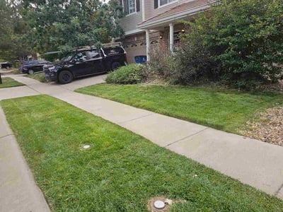 Lawn Care service in Commerce City, 80022