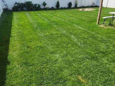 Lawn Care service in Fargo, 58102