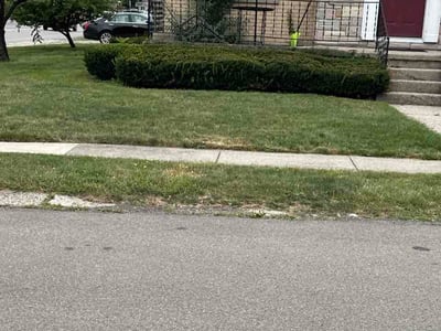 Lawn Care service in Lockport, 14094