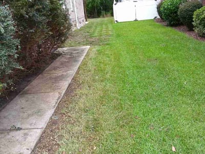 Lawn Care service in Darlington, 29532